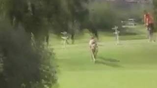 Une jeune fille court toute nue sur un parcours de golf
